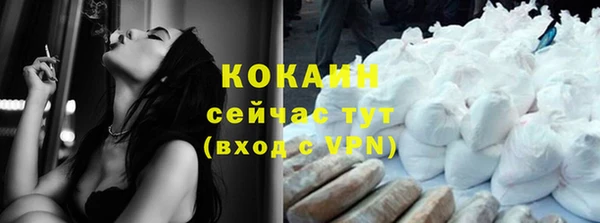 гидра Белоозёрский