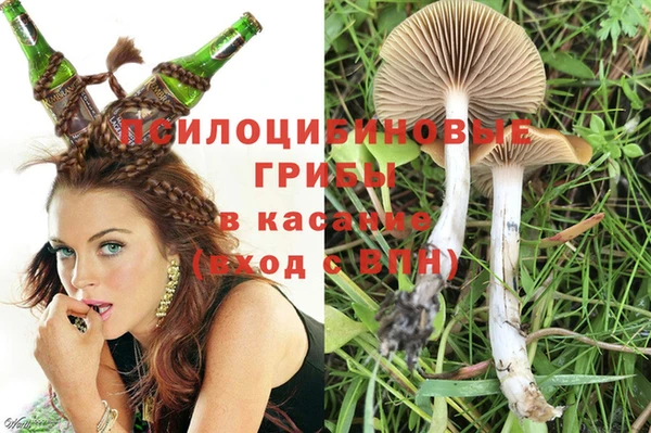 гидра Белоозёрский