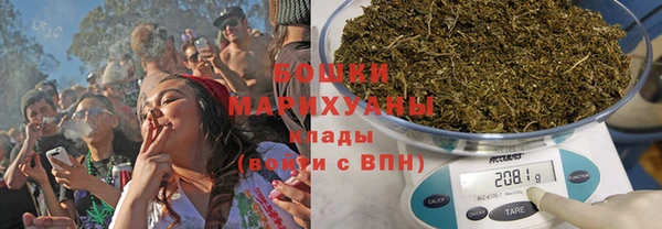 гидра Белоозёрский