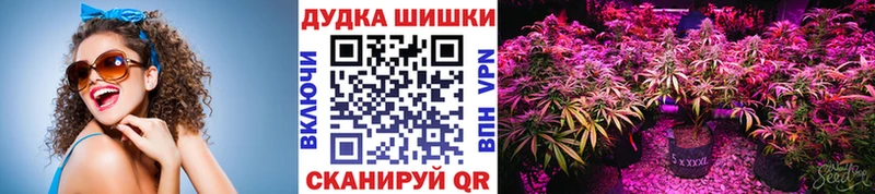Бошки марихуана марихуана  магазин продажи наркотиков  Киреевск 
